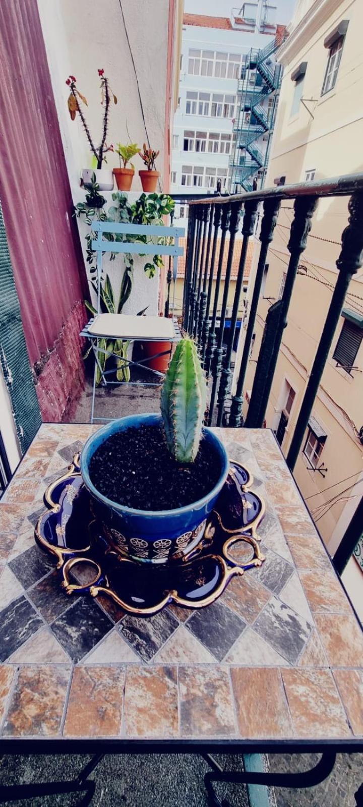 Charming Central Apartment To Rent ลิสบอน ภายนอก รูปภาพ