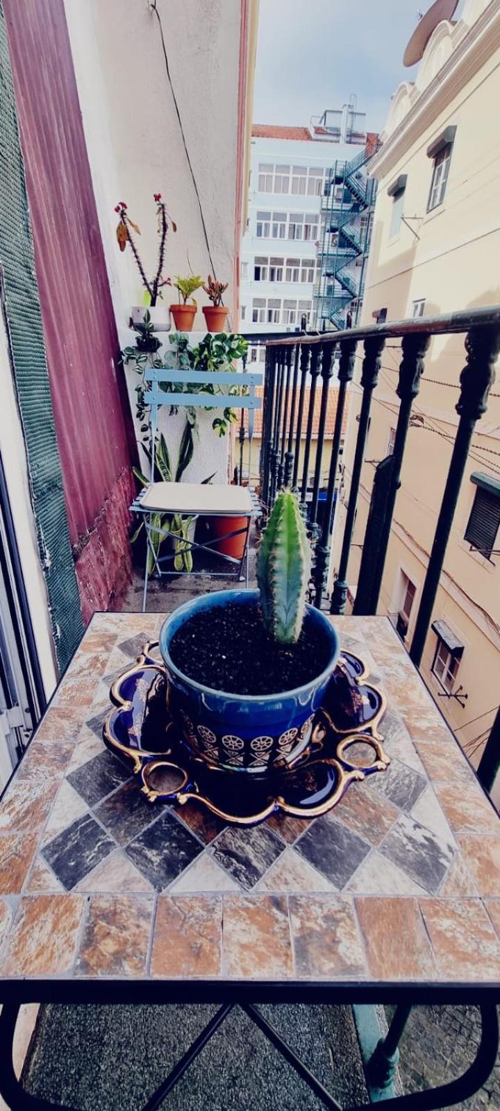 Charming Central Apartment To Rent ลิสบอน ภายนอก รูปภาพ